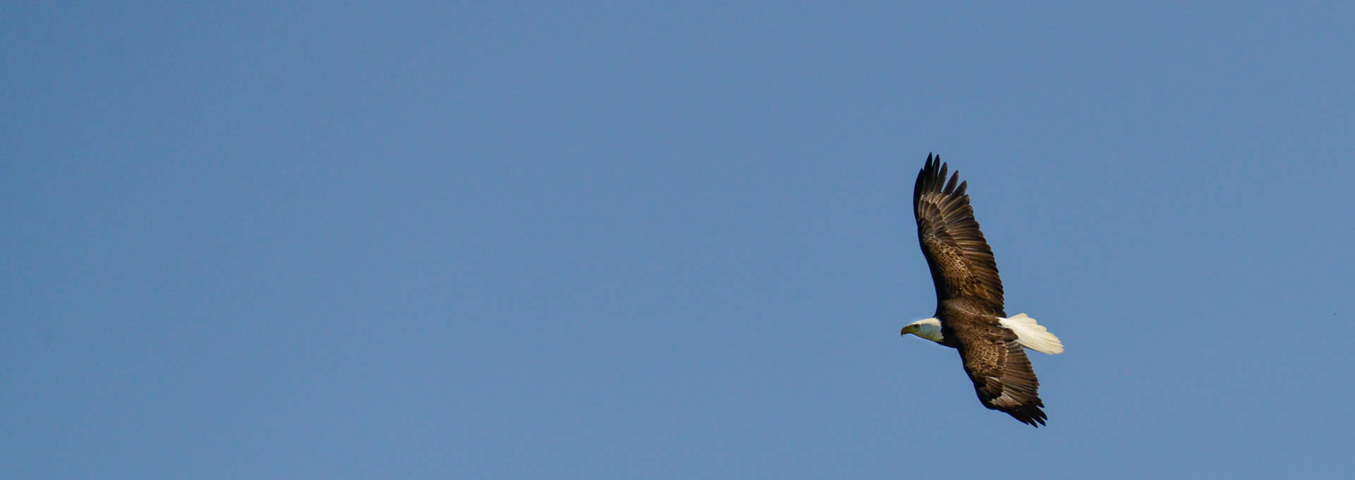 Love Birding? Come Join Us